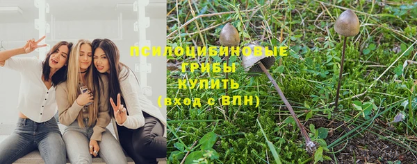 бутират Аркадак