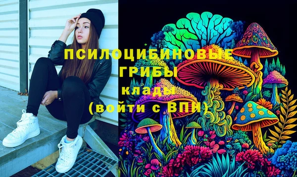 apvp Арсеньев