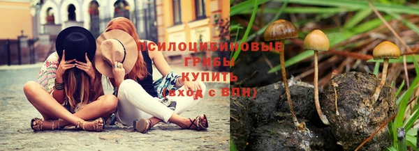 apvp Арсеньев