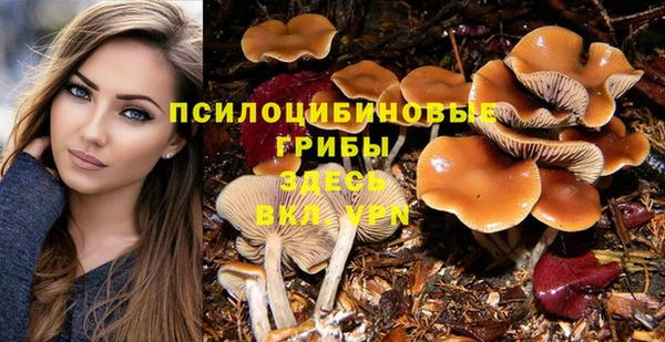метамфетамин Армянск